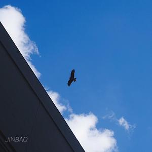 趴男朋友腿被脱裙打屁股视频
